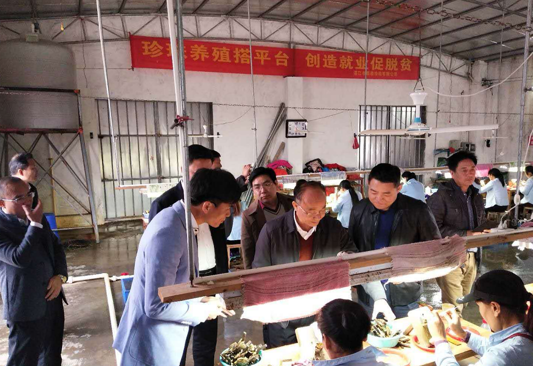 QQ图片20181219173151.png