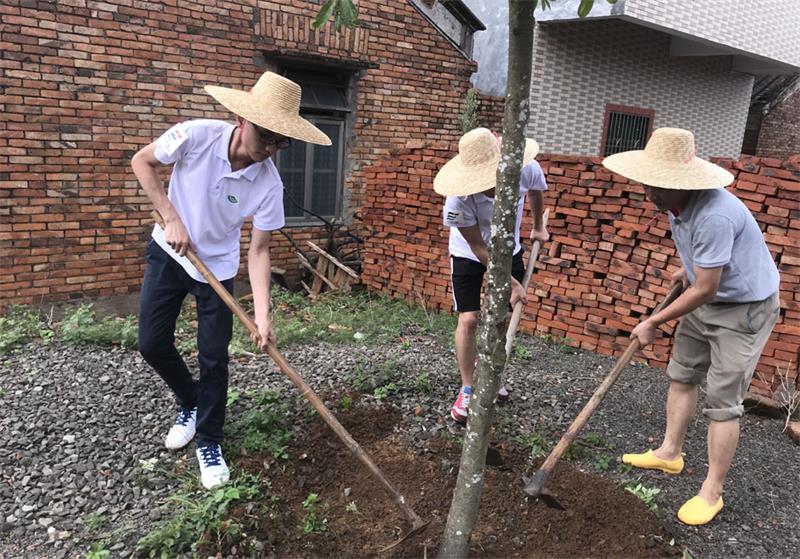 绿化.jpg