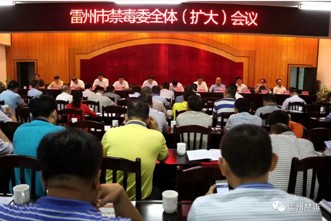 林华甫副市长到雷高镇督查禁毒工作并约谈相关责任人