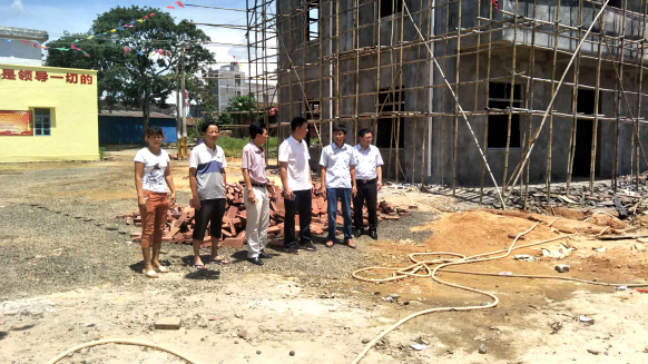 雷州市委书记李雄光到杨家镇夏口村指导软弱涣散党组织整顿工作