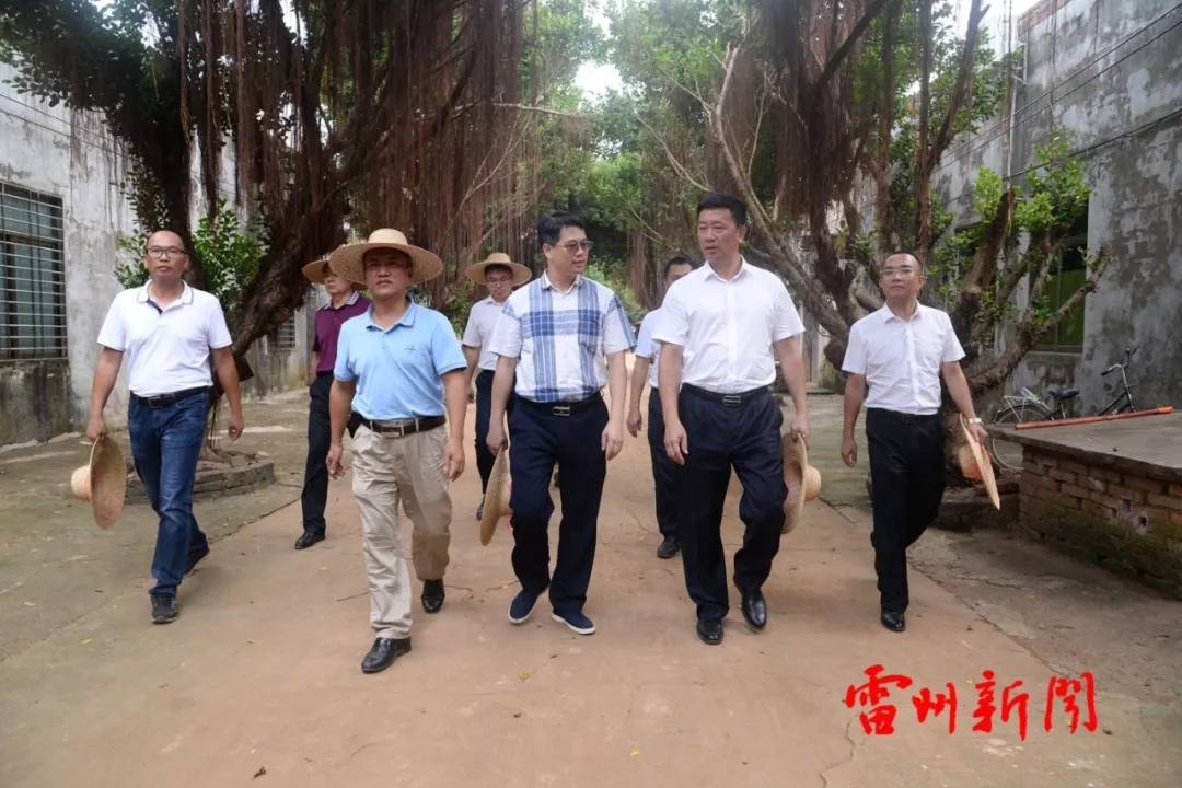 当天上午,陈敏深一行首先深入到雷州市乌石镇那毛村委会那毛村