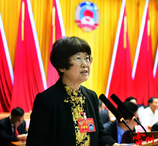 雷州市政协副主席陈家祥主持了开幕大会.