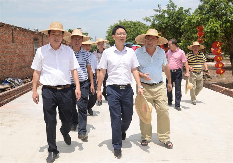市长黄廉东带队调研城区市政工程建设情况-雷州市人民