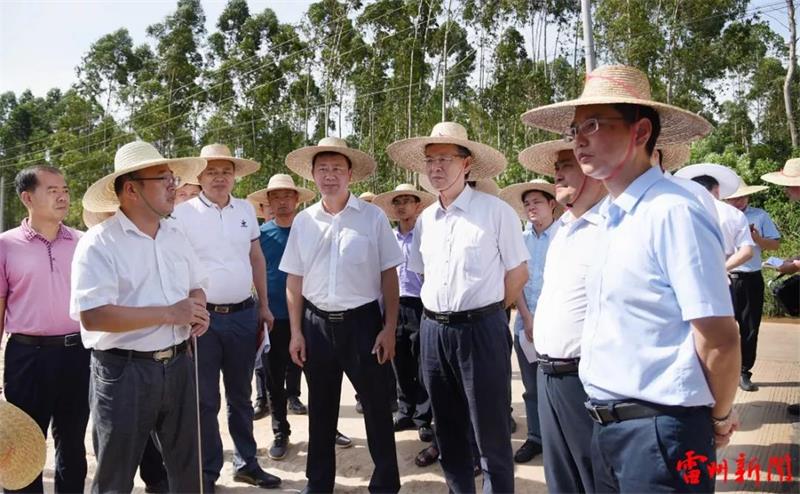 湛江市委副书记,市长姜建军率队到我市调研
