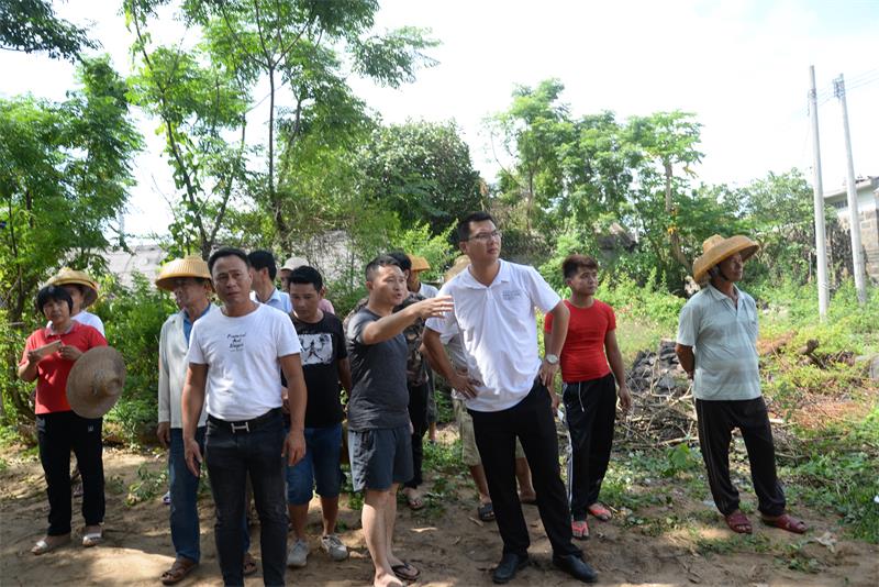 乌石镇农村环境整治剑指"空中垃圾"-雷州市人民政府网站