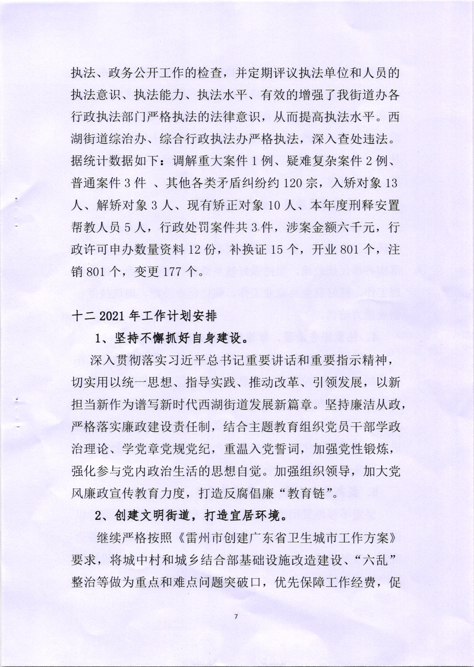 西湖街道2020年法治政府建设报告_页面_7.png