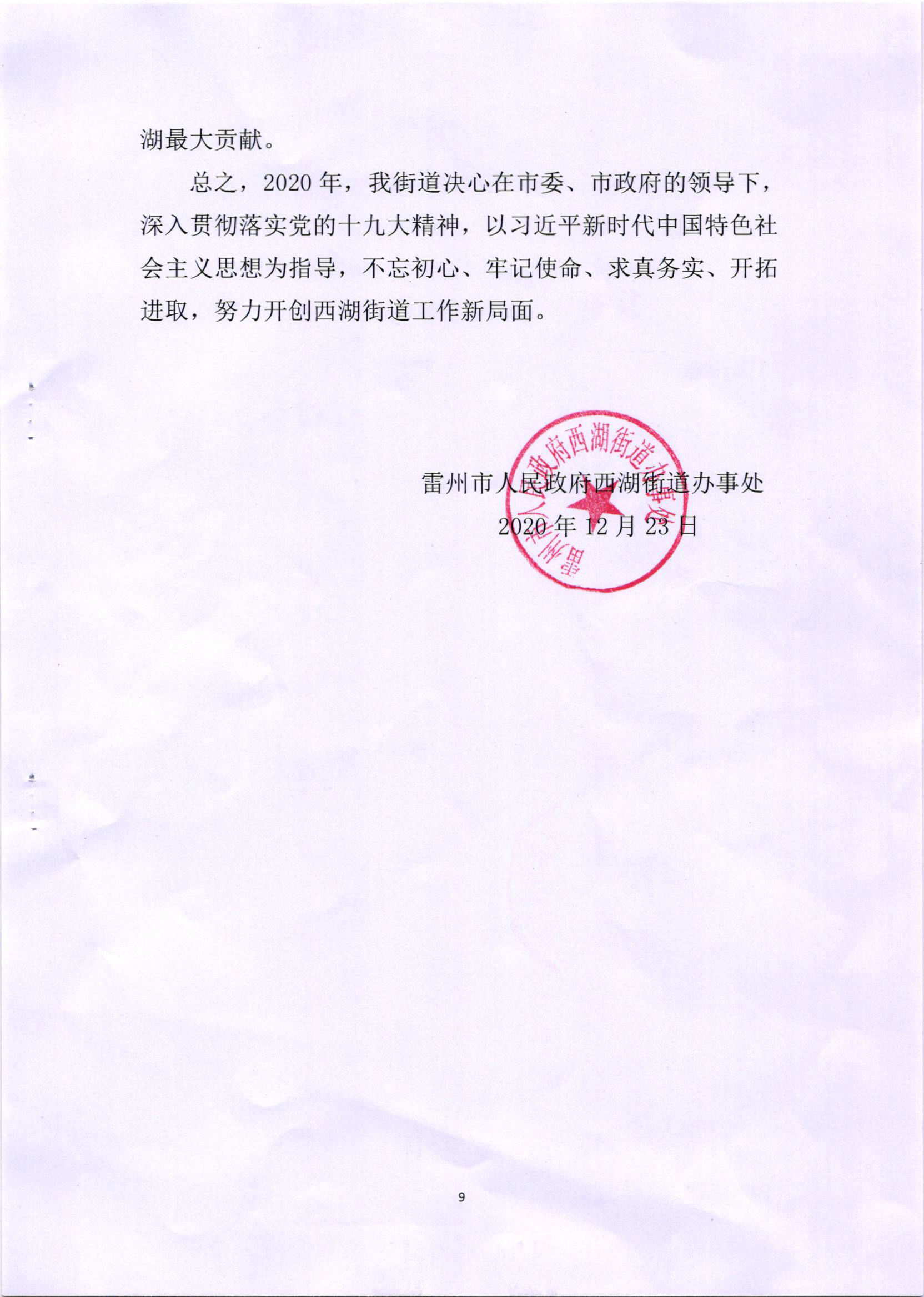 西湖街道2020年法治政府建设报告_页面_9.png
