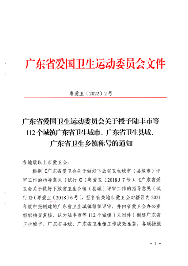雷州市被授予广东省卫生城市称号1.png