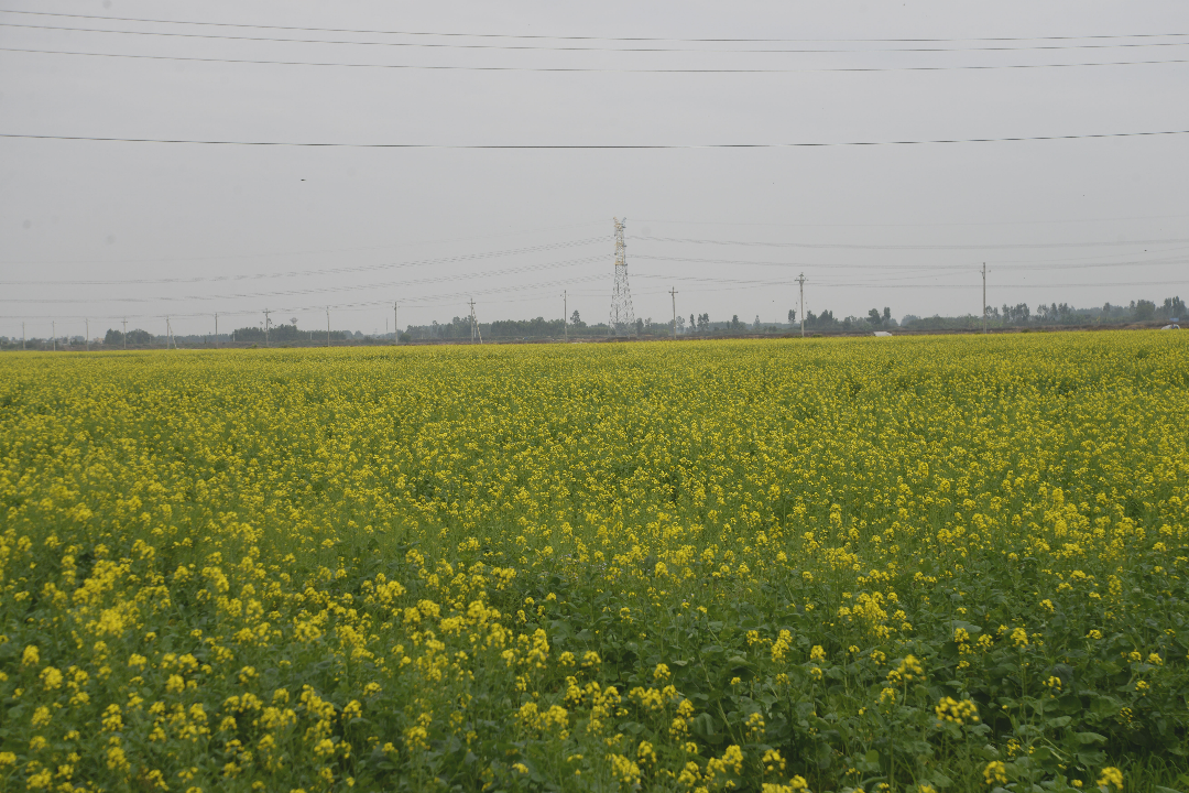 DSC_5633.JPG