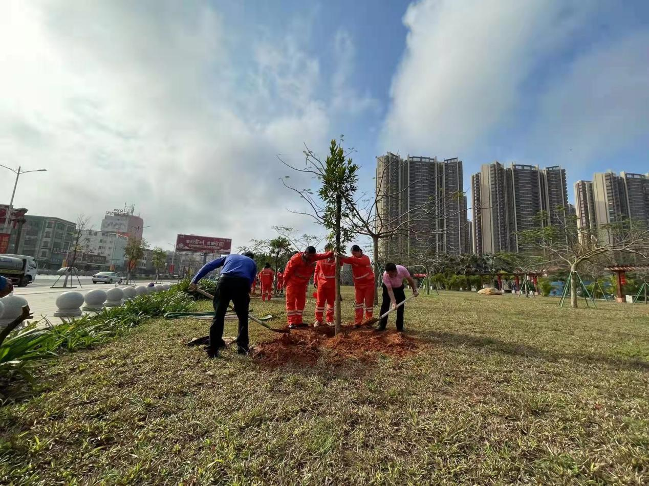 植树节活动3.png