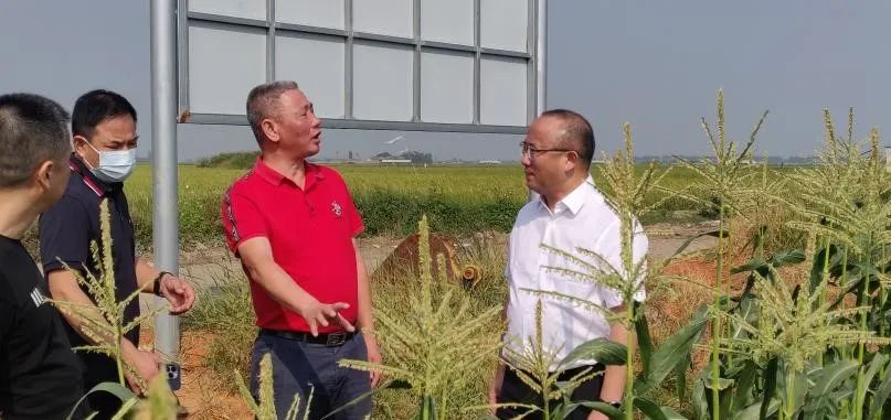 微信图片_20230105114154333.jpg