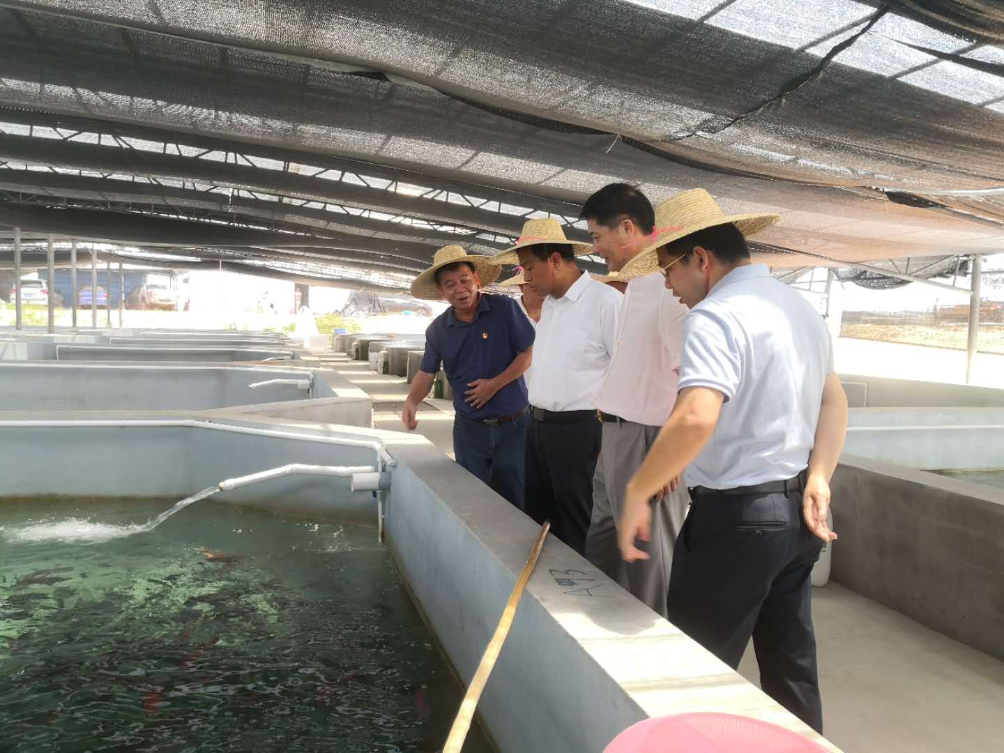 雷州市委书记张仁建率队到企水镇调研