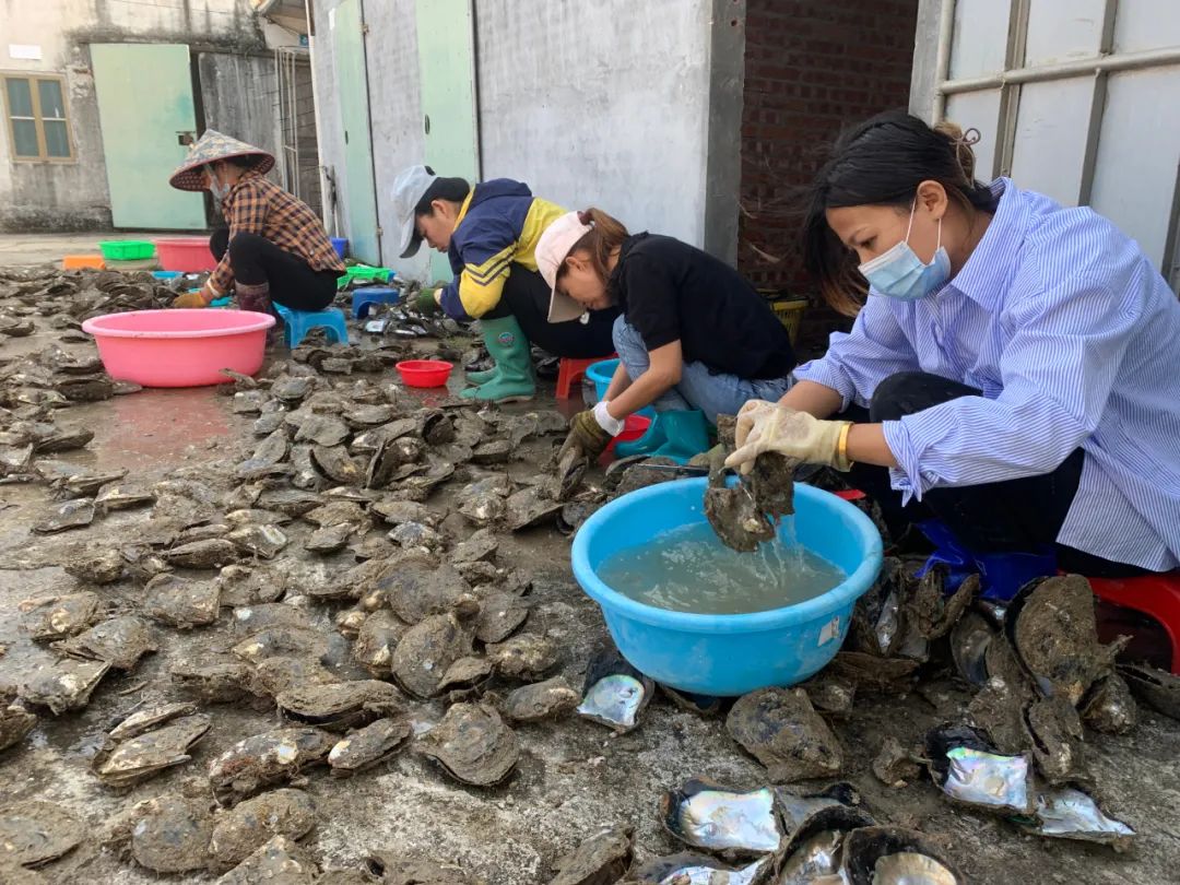 微信图片_20230213100025.jpg