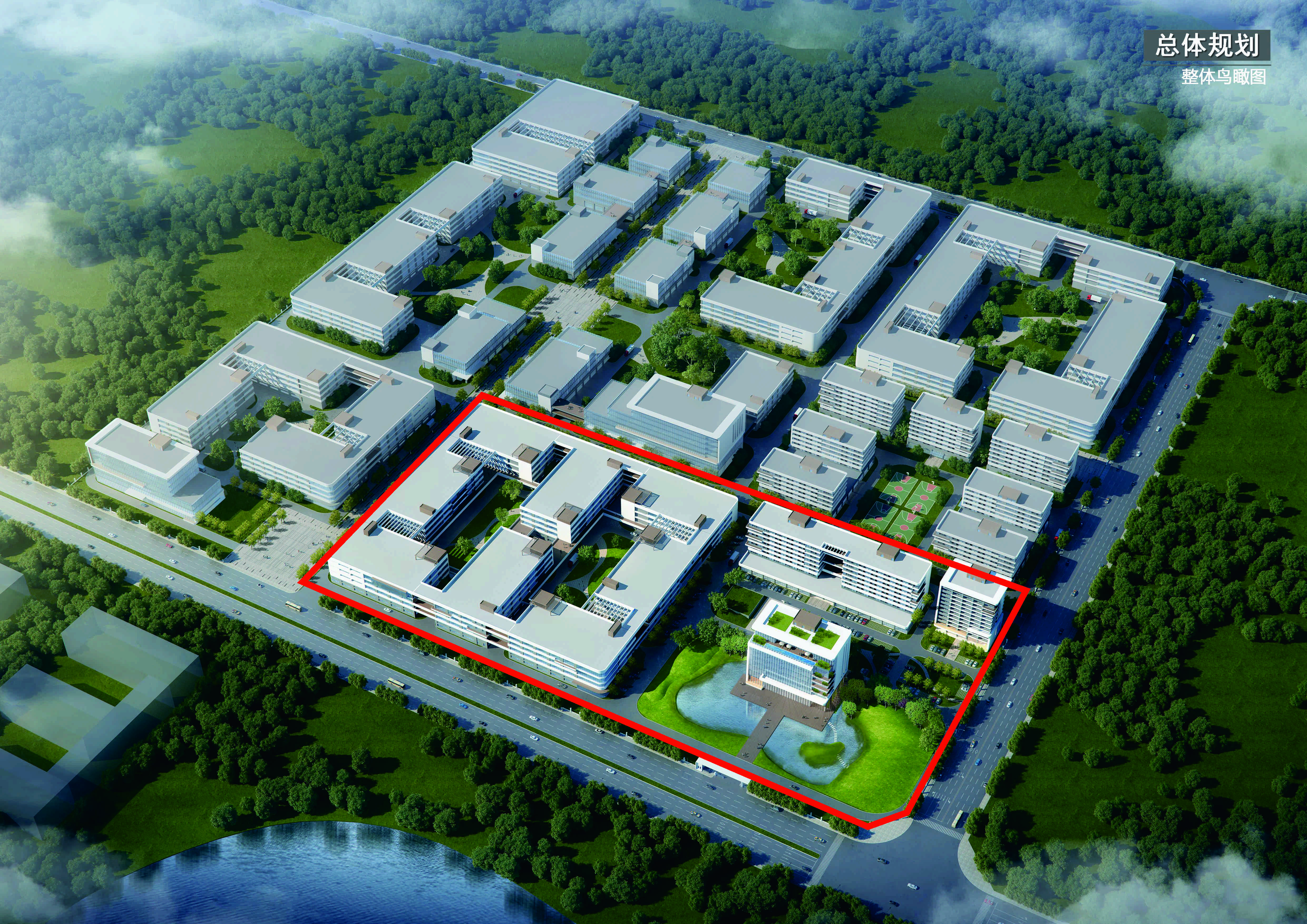 未命名 -1.jpg