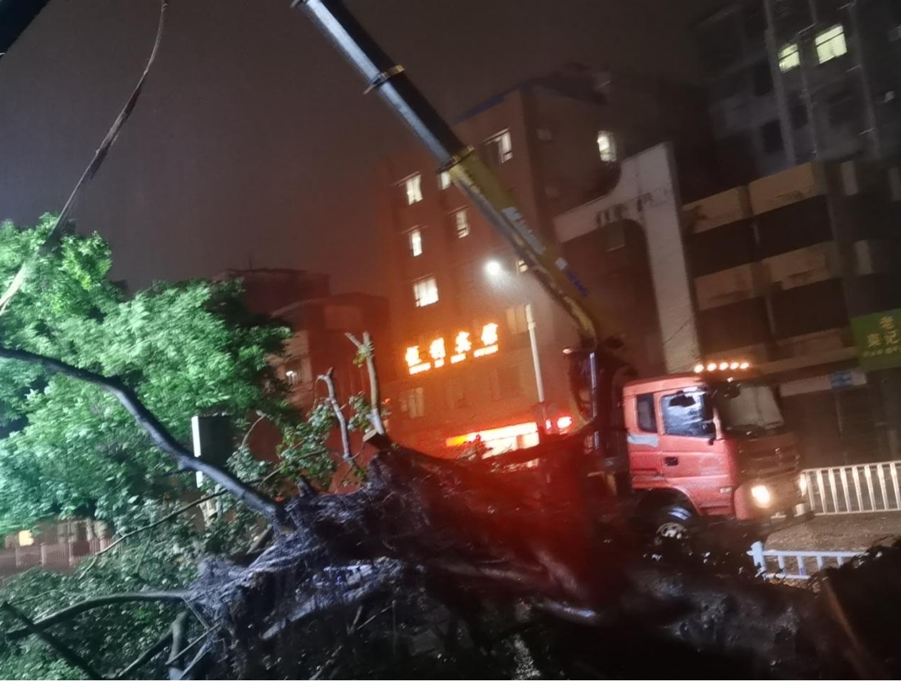 防风10.jpg