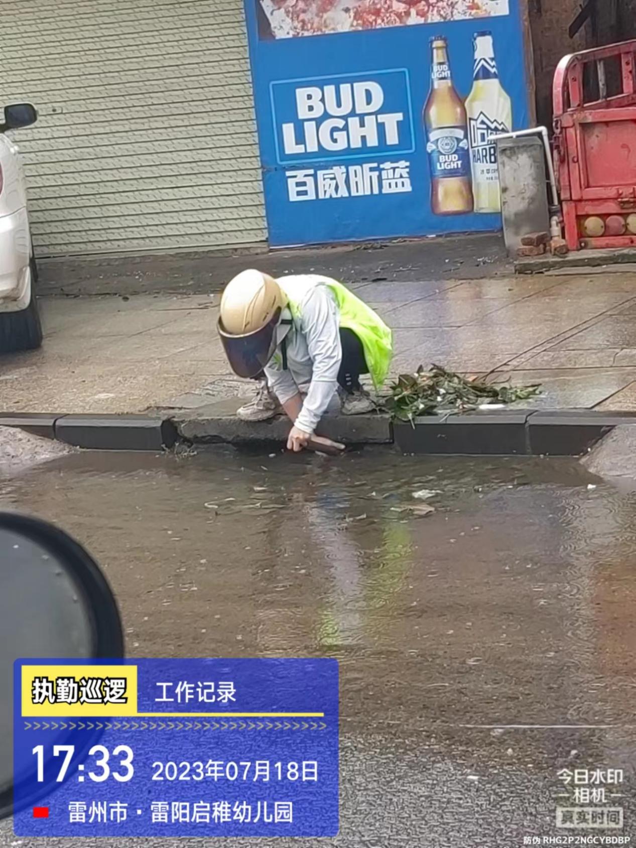 防风14.jpg