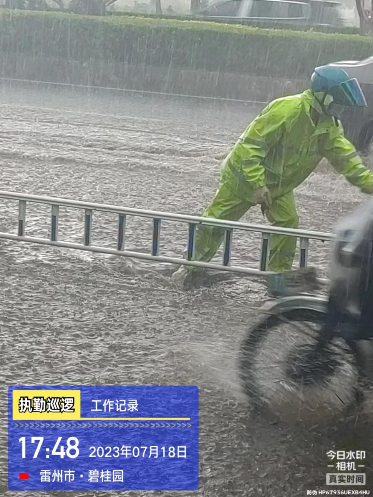 防风15.jpg