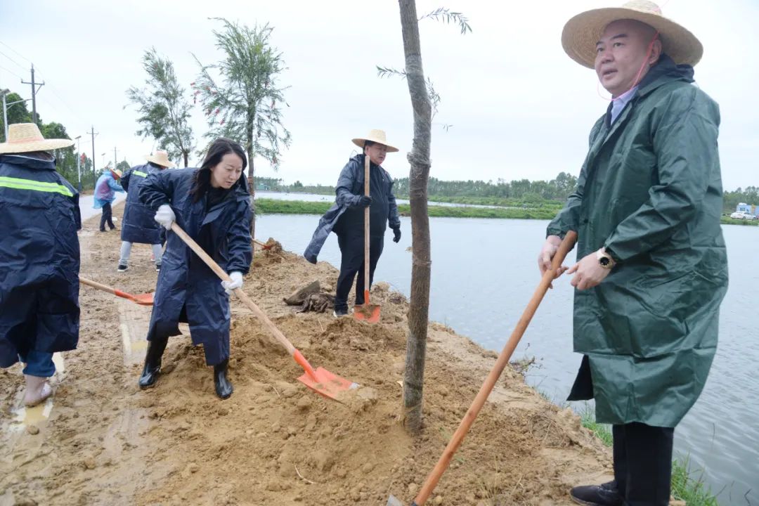 100余干群在雷州唐家镇冒雨植树 绿美行动增添乡村振兴新活力.jpg