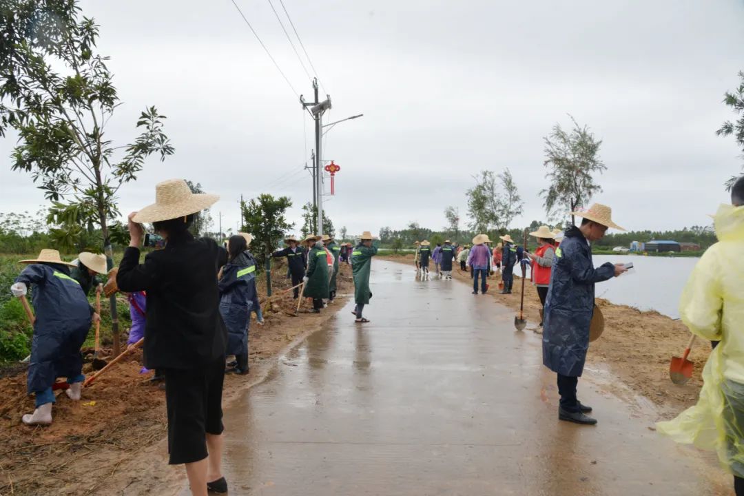 100余干群在雷州唐家镇冒雨植树 绿美行动增添乡村振兴新活力2.jpg
