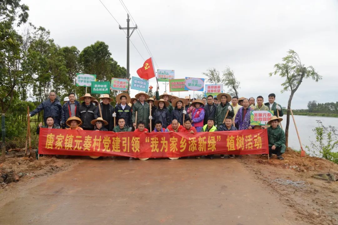 100余干群在雷州唐家镇冒雨植树 绿美行动增添乡村振兴新活力4.jpg