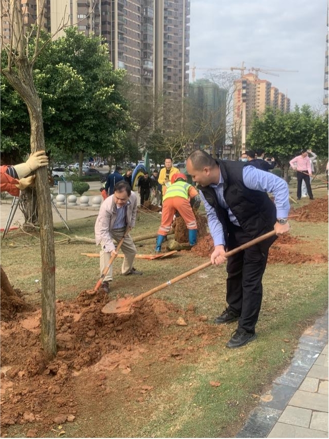 植树活动05.jpg