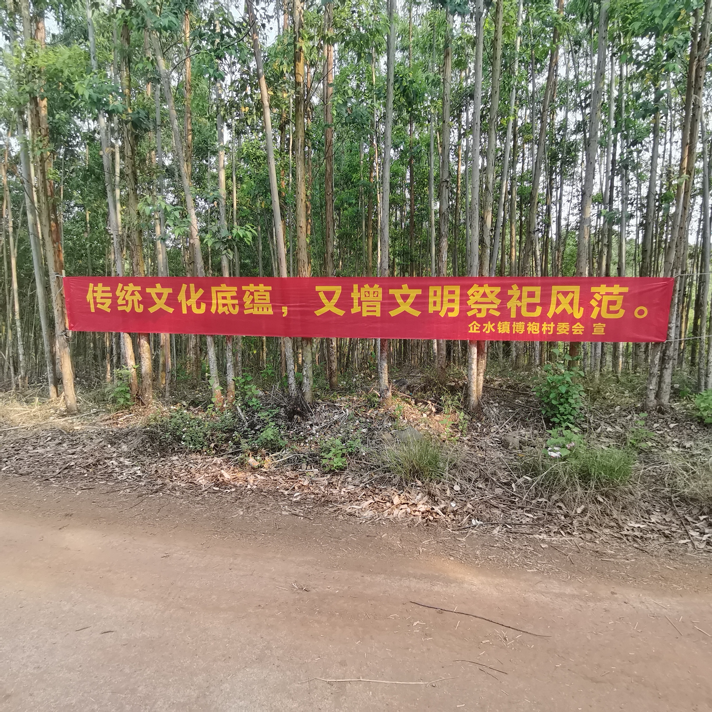 微信图片_20240403163537.jpg