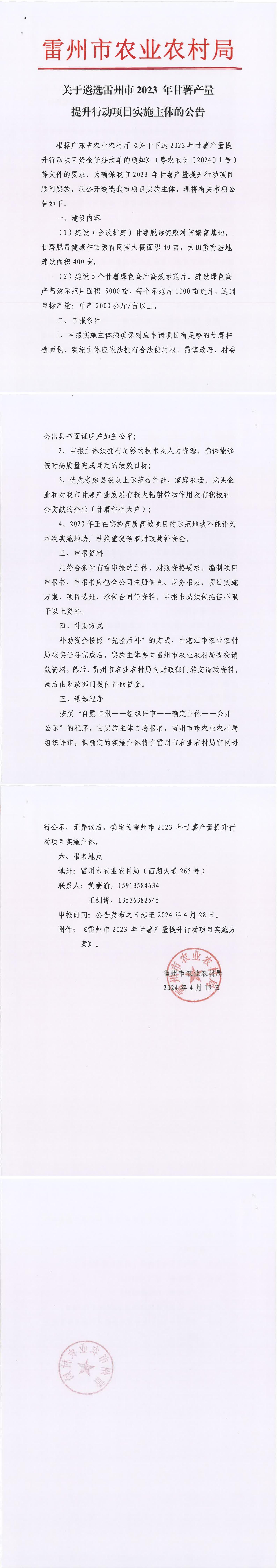 关于遴选雷州市2023年甘薯产量提升行动项目实施主体的公告.jpg