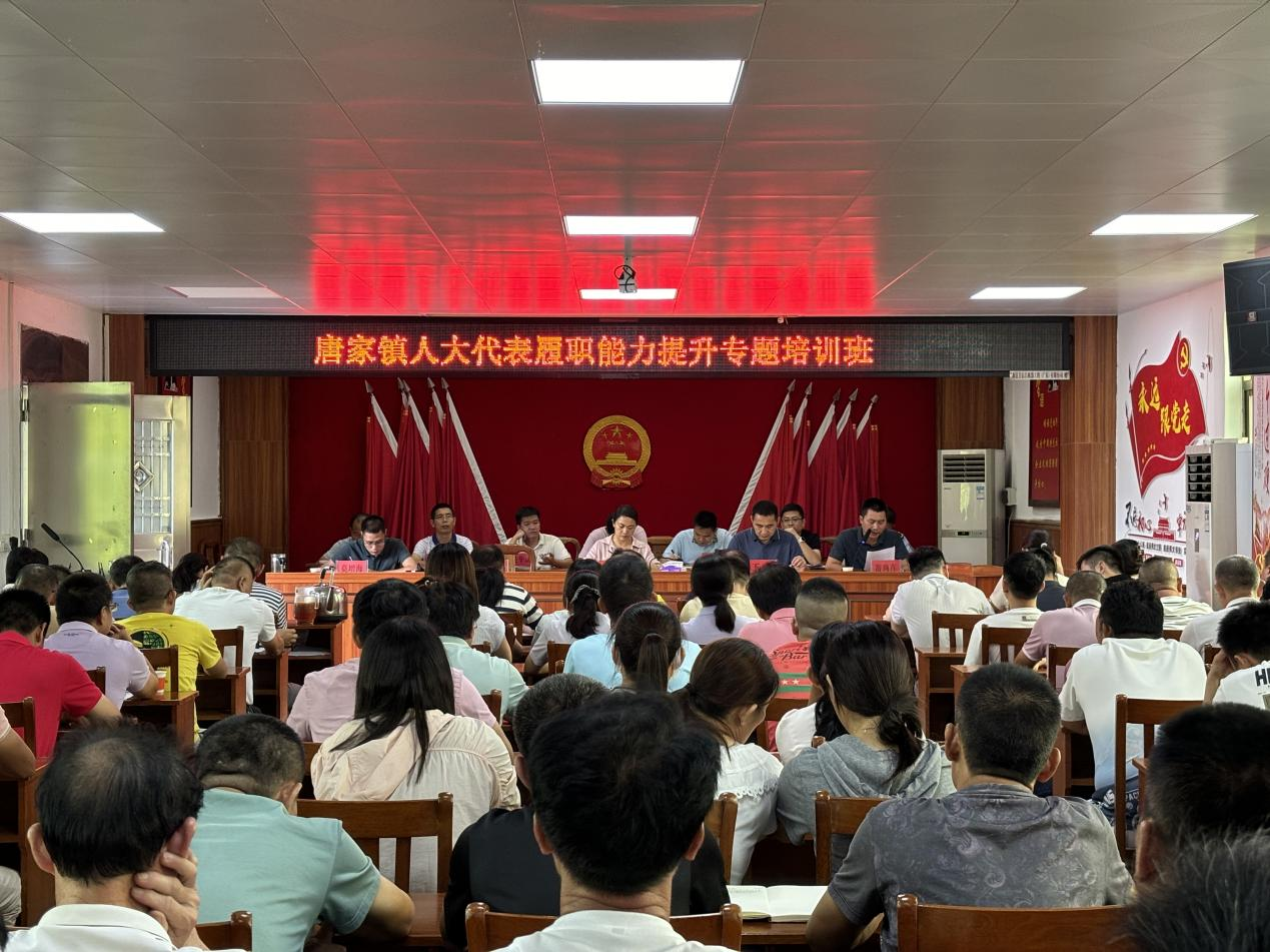 唐家镇人大组织召开人大代表履职能力提升专题培训班.png