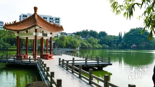 胡铨到雷州时描述小桥流水的场景。陈文 摄 图片