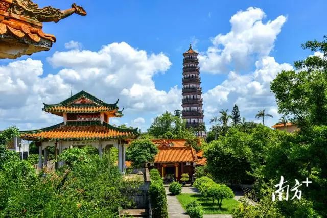 胡铨登上新建的雷州城。许荣毅 摄 图片