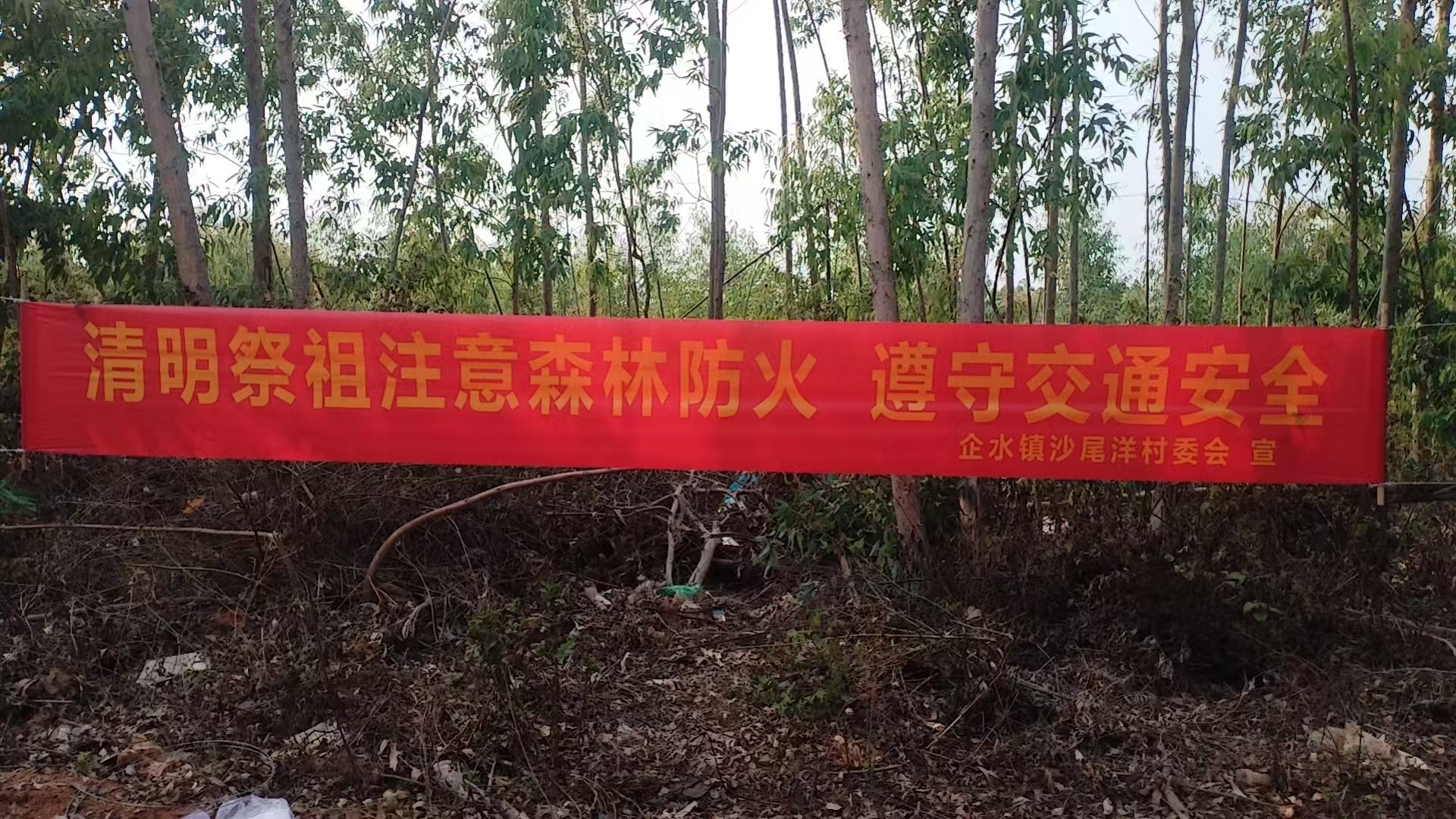 微信图片_20250408104659.jpg
