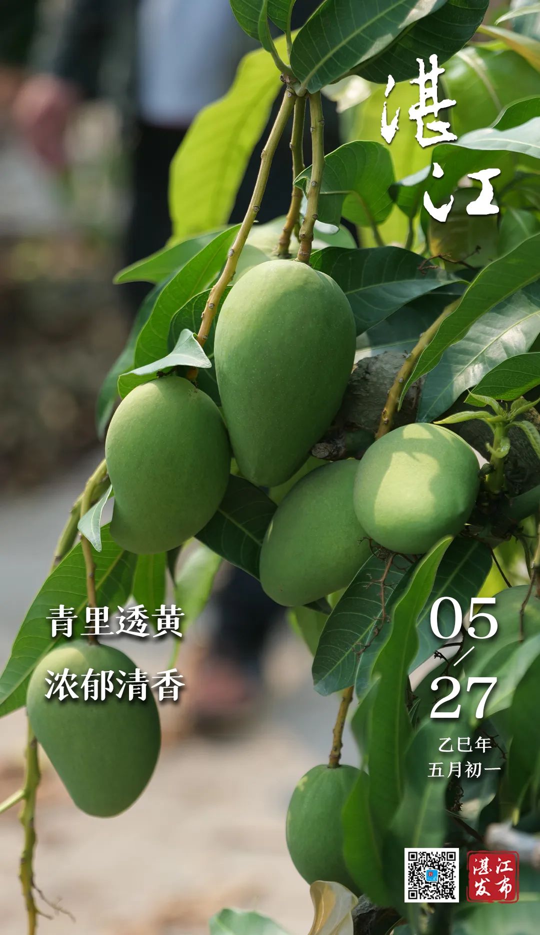 微信图片_20250527105724.jpg