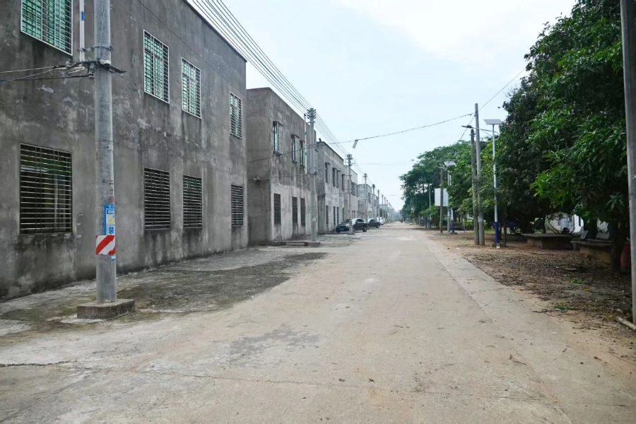 05.jpg