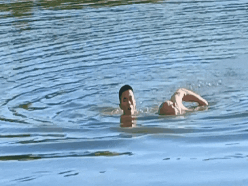2.gif
