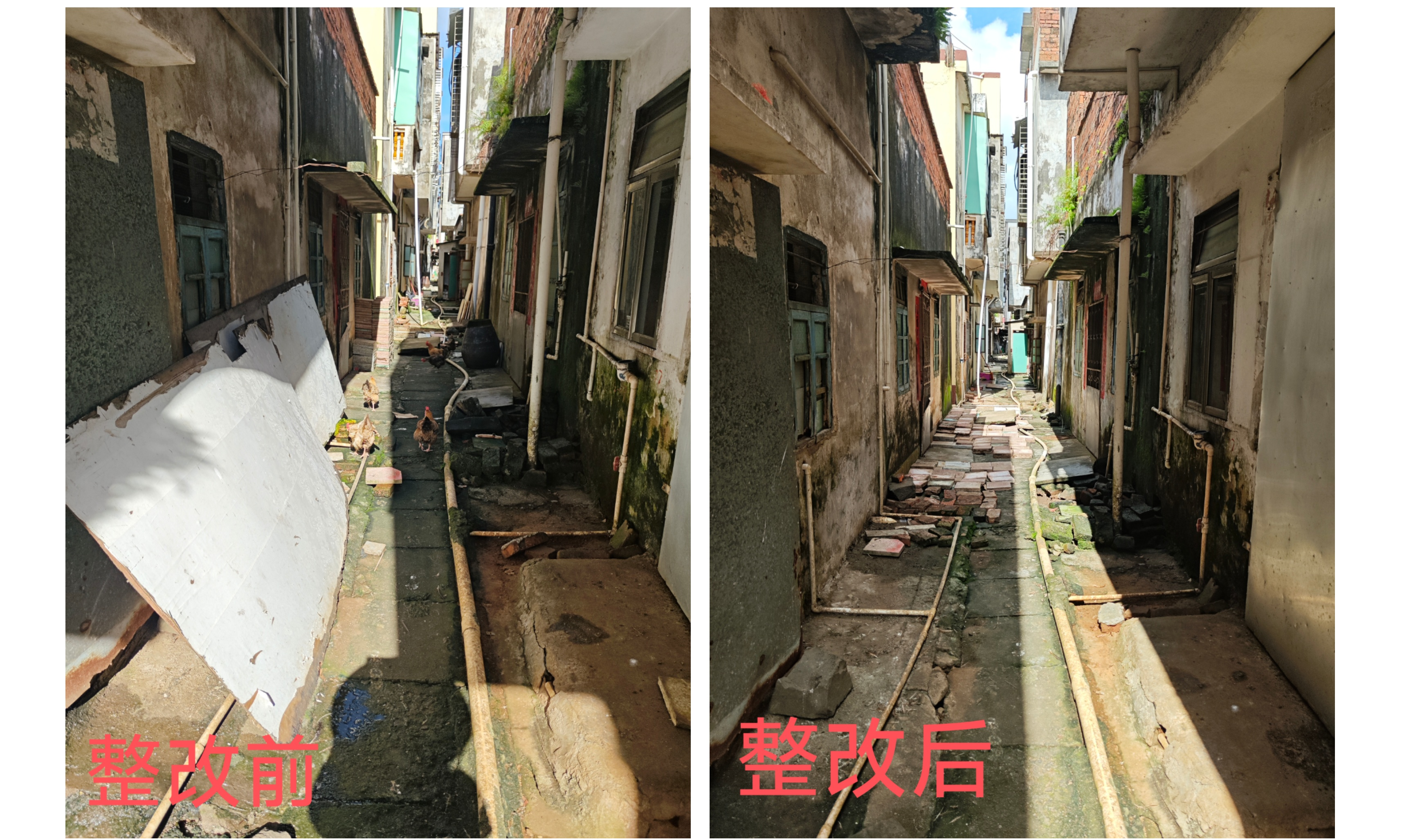唐家镇“冷巷”环境整治现场前后对比图.png