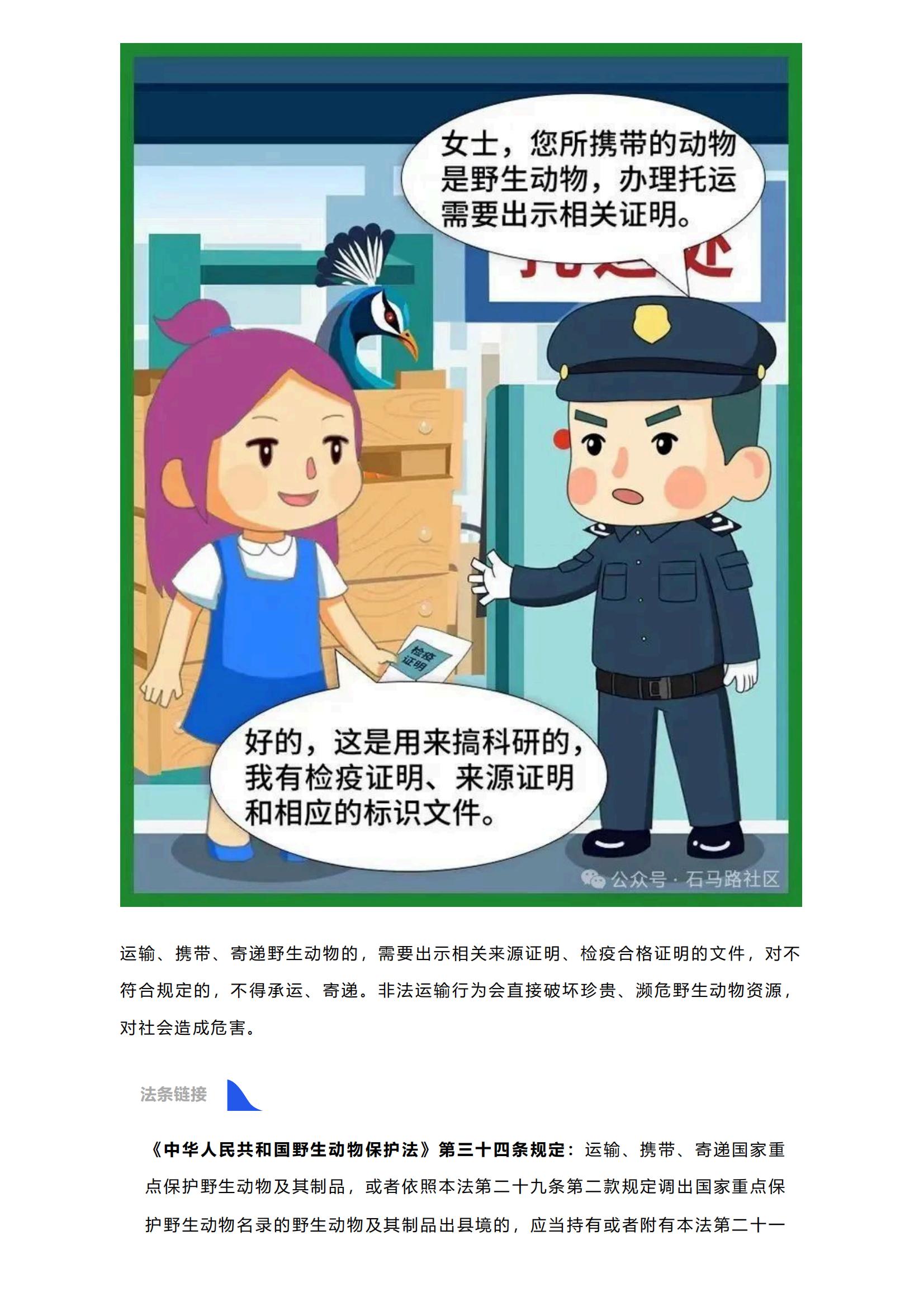 保护野生动物 ，共筑生态平衡_1_03.jpg
