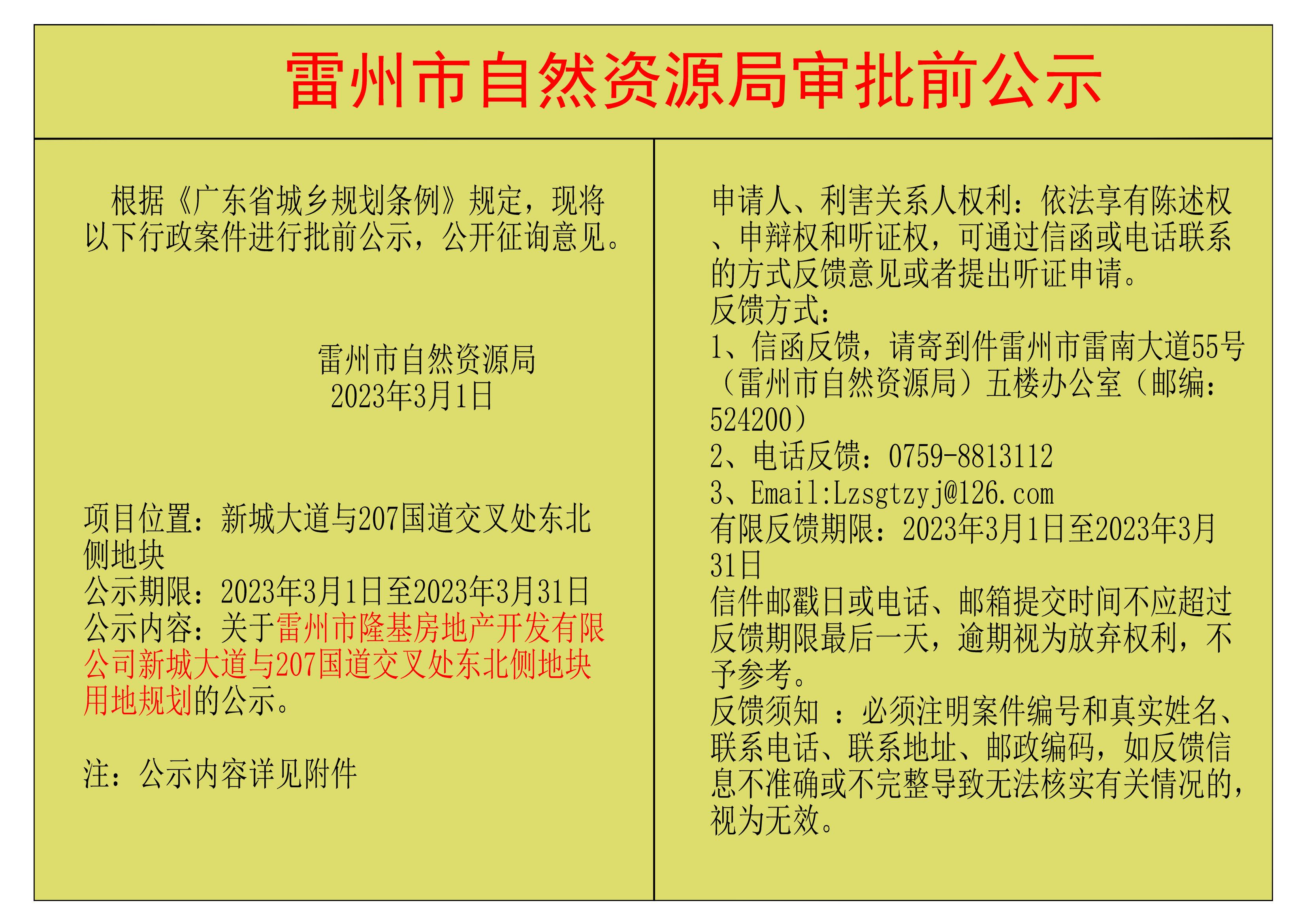 关于雷州市隆基房地产开发有限公司新城大道与207国道交叉处东北侧地块用地规划的公示.png